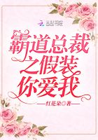 霸道总裁的真欢假爱