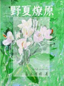 小说野夏